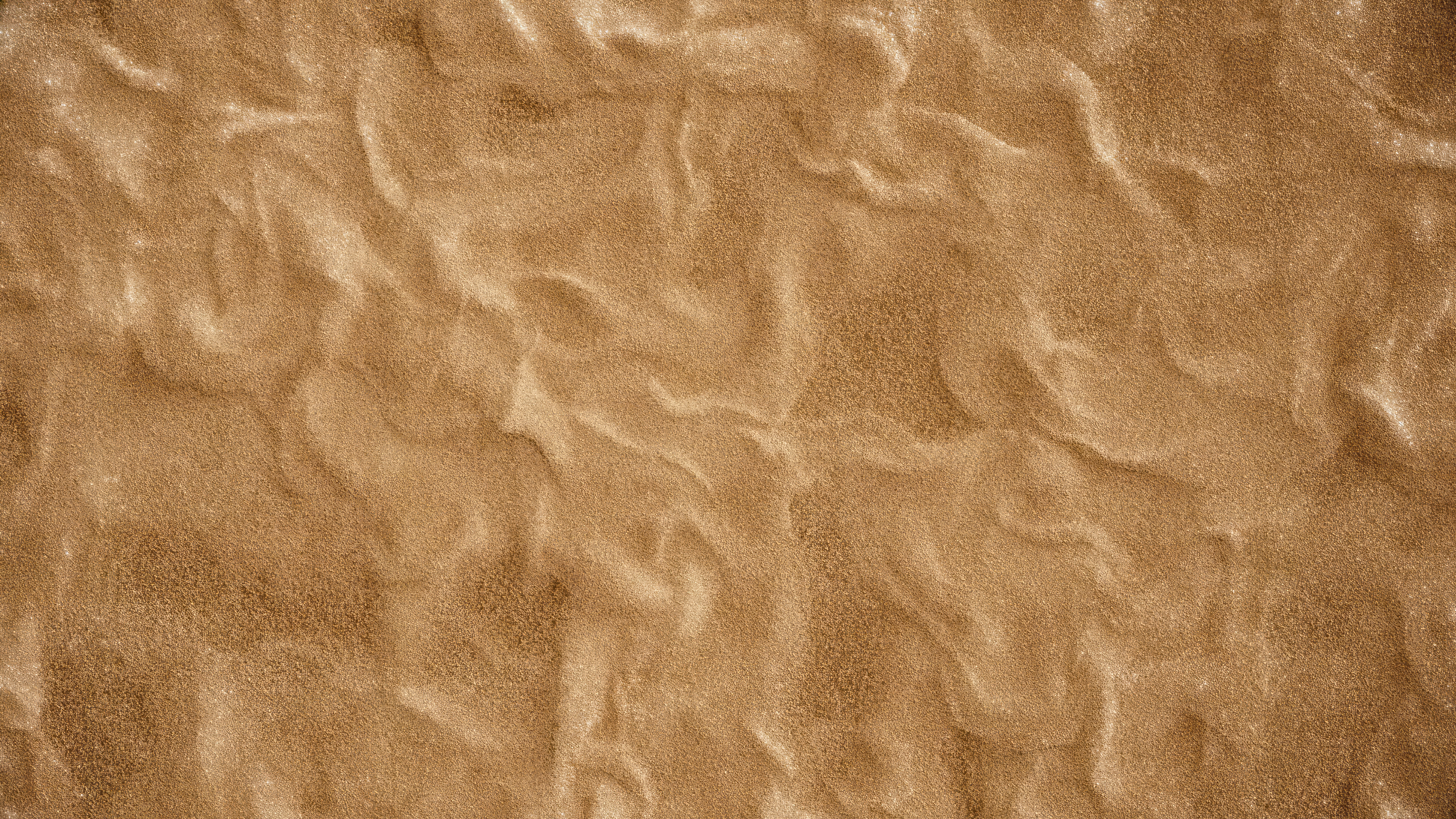 Untitled-Project_SP_SABLE_06_2024-06-03_12.38.14