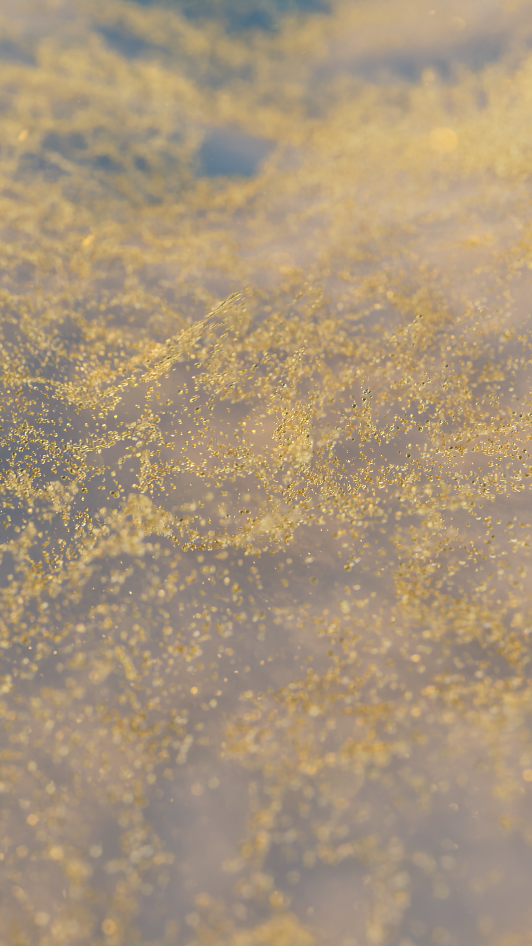 Projet sans titre_Composition 1_2026-01-22_14.31.51