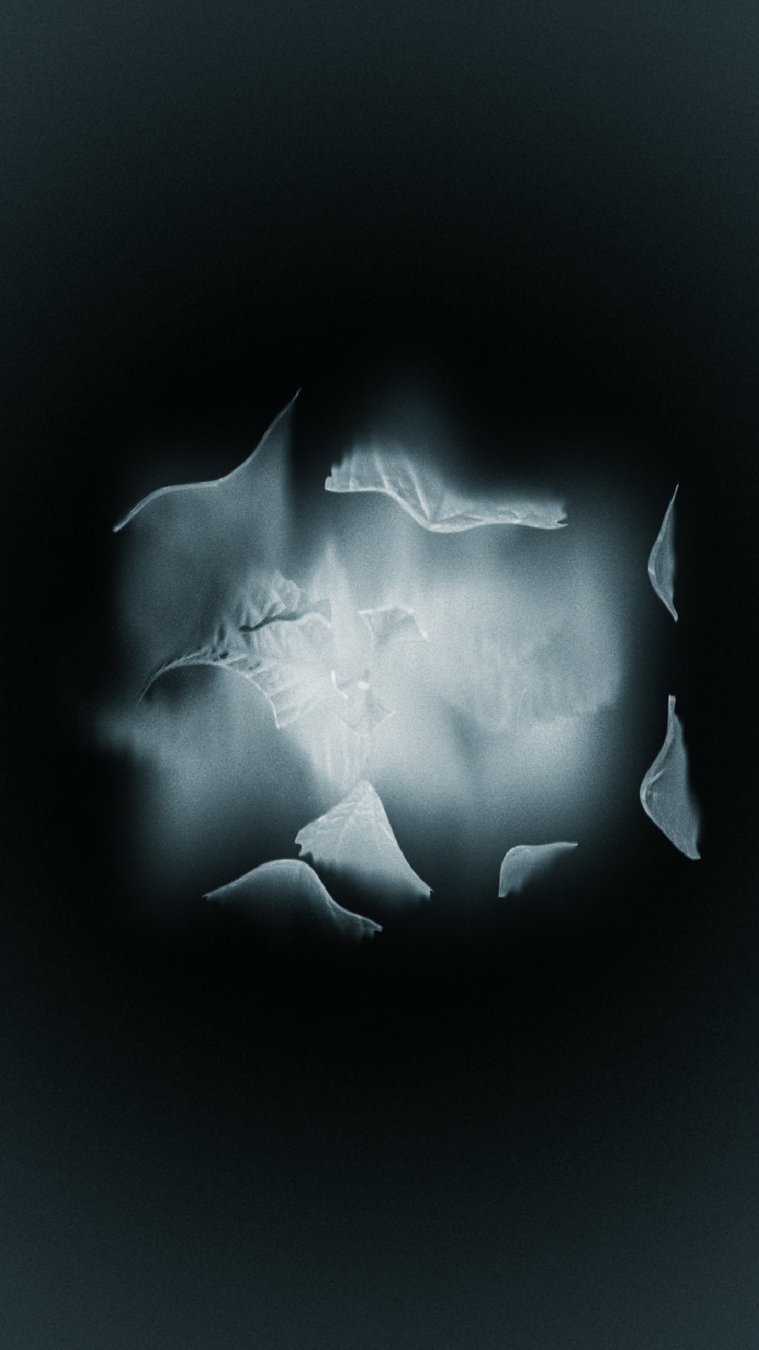 TIMELESS HYPER COURREGES_MONTAGE V02_2026-06-29_16.45.02
